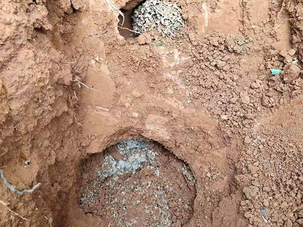 水庫堤壩白蟻防治